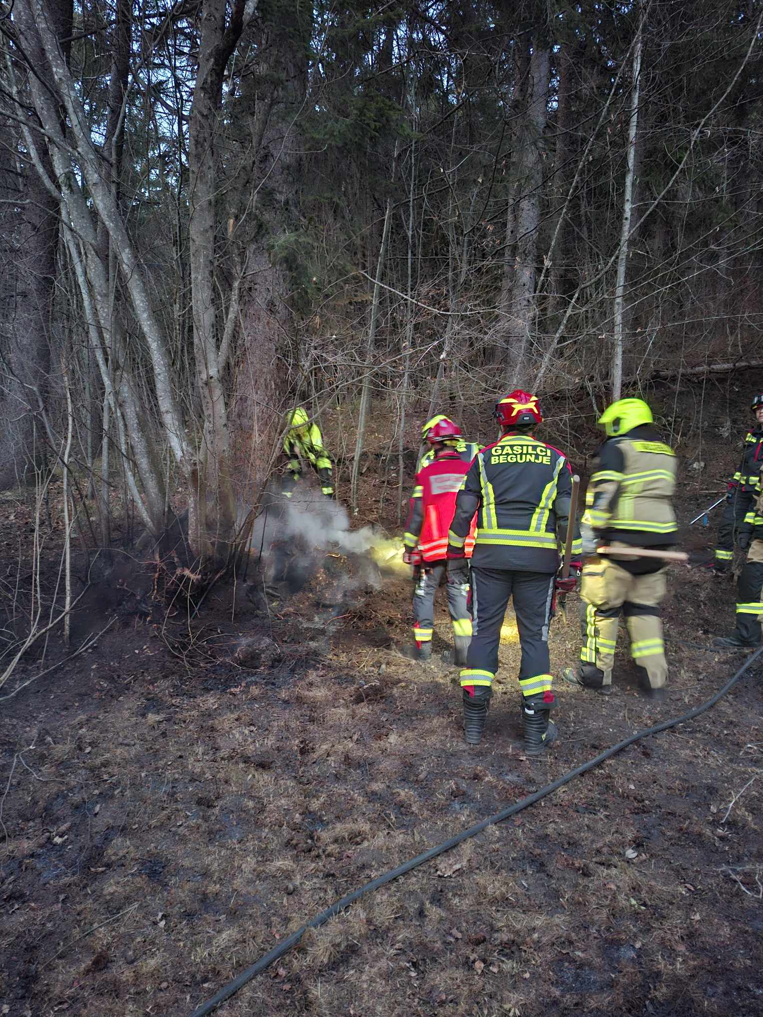 Intervencija: 6/2026 – Požari na gozdnih in grmovnih površinah